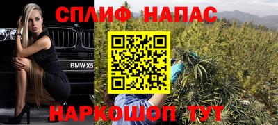 a pvp Дубна