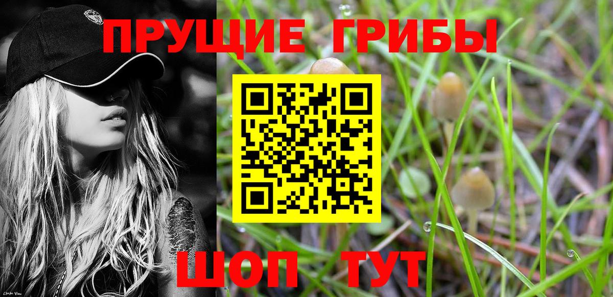 Краснодар  Галлюциногенные грибы Cubensis  Вход с VPN  Псилоцибиновые грибы мухоморы 